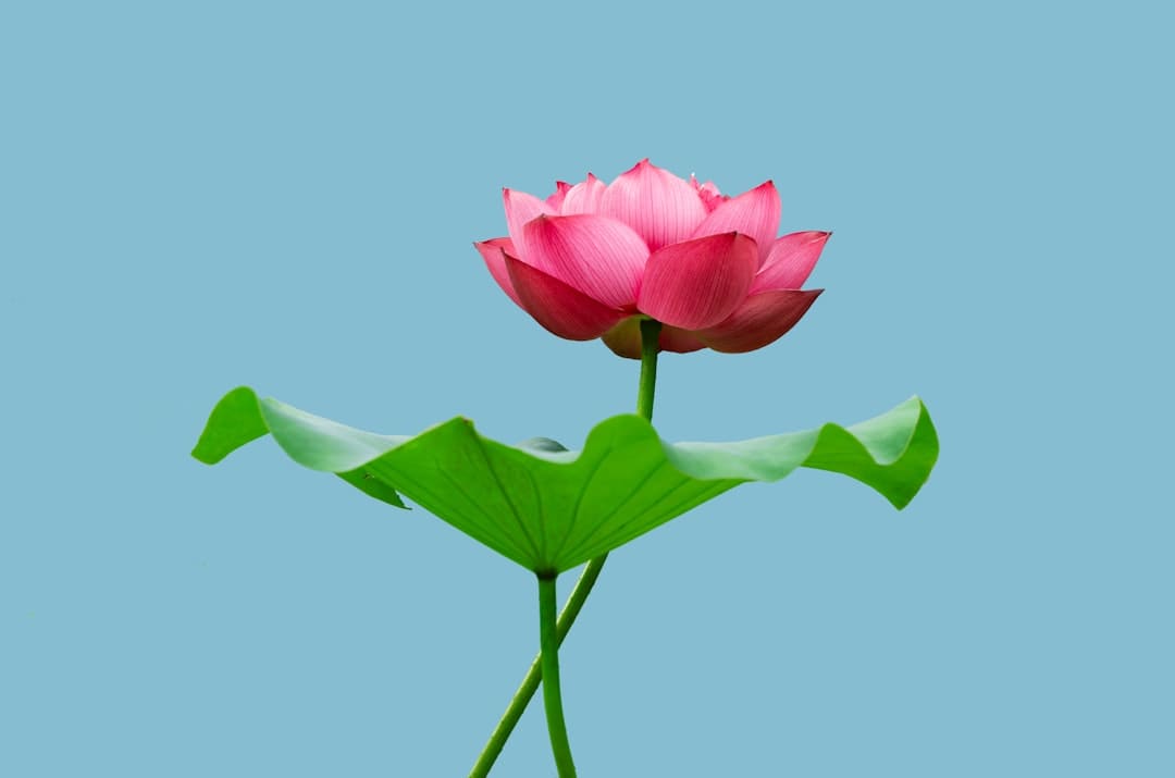 《我是歌手》迎来荣耀终章 那英摘得歌王桂冠
